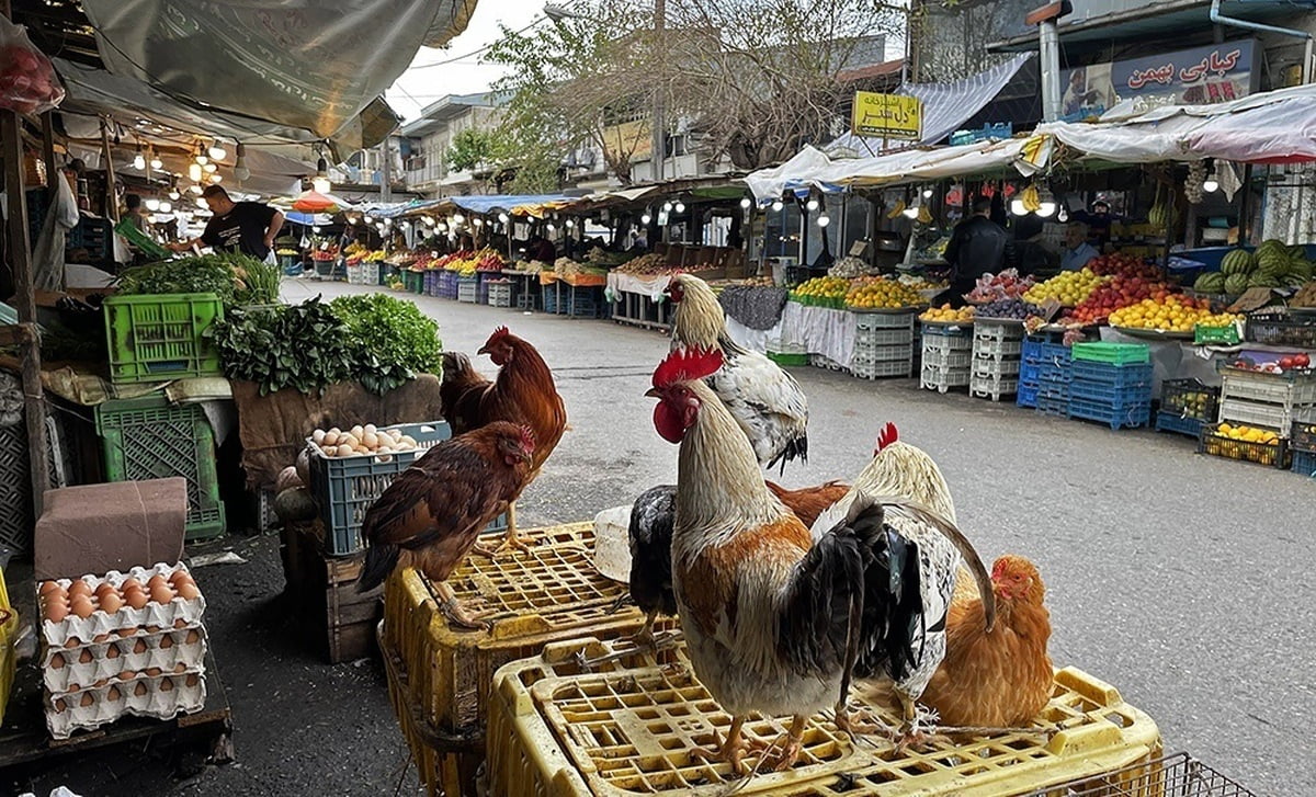 بازار آزاد انزلی