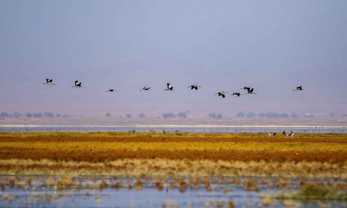 تالاب میقان