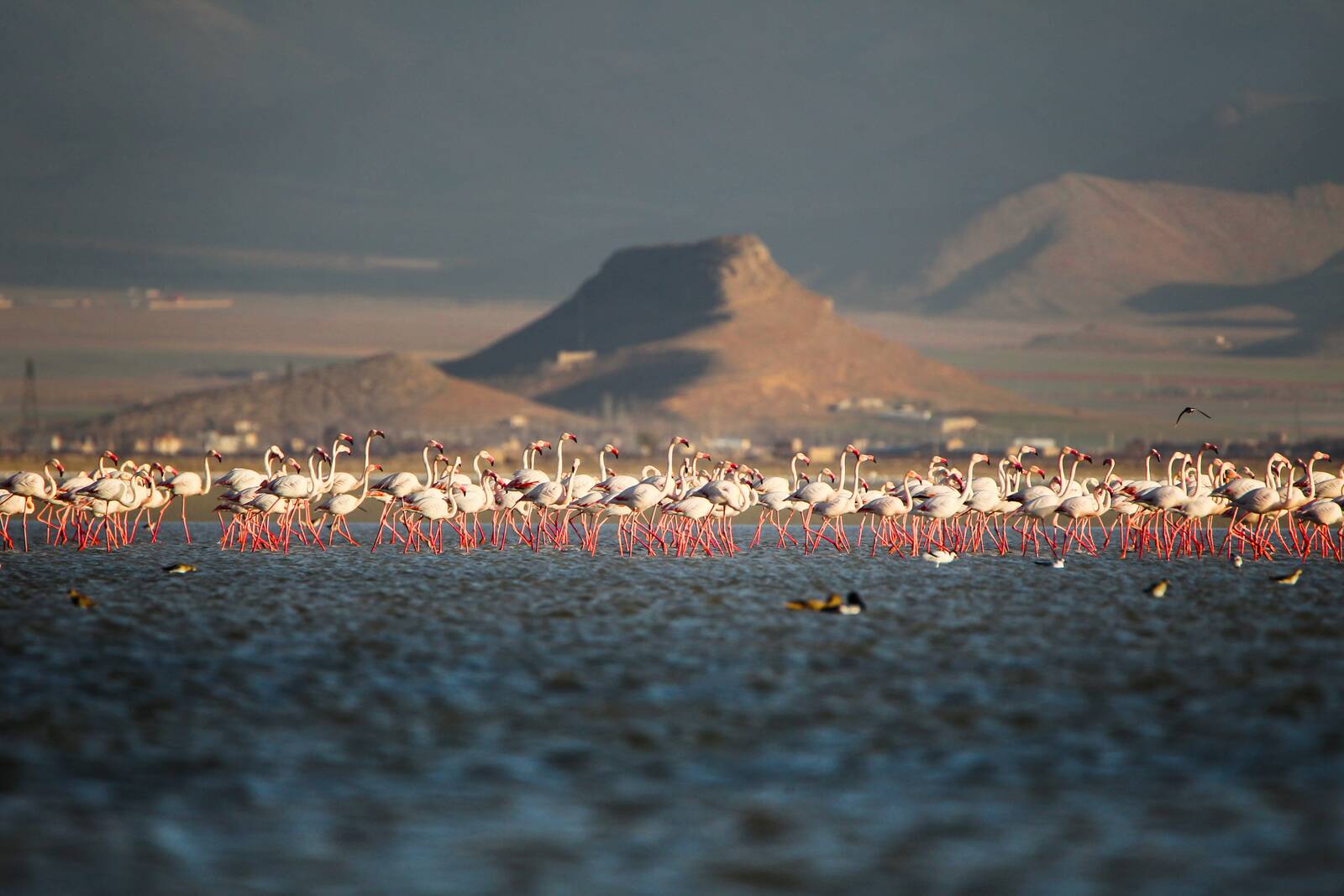 تالاب میقان