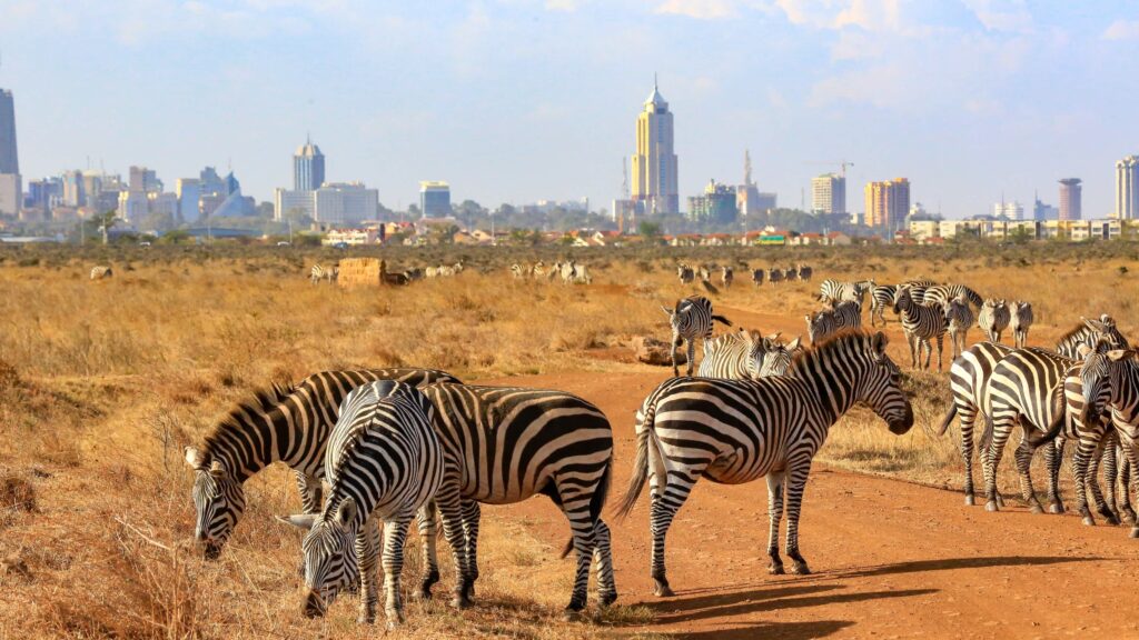 Things to do in Nairobi