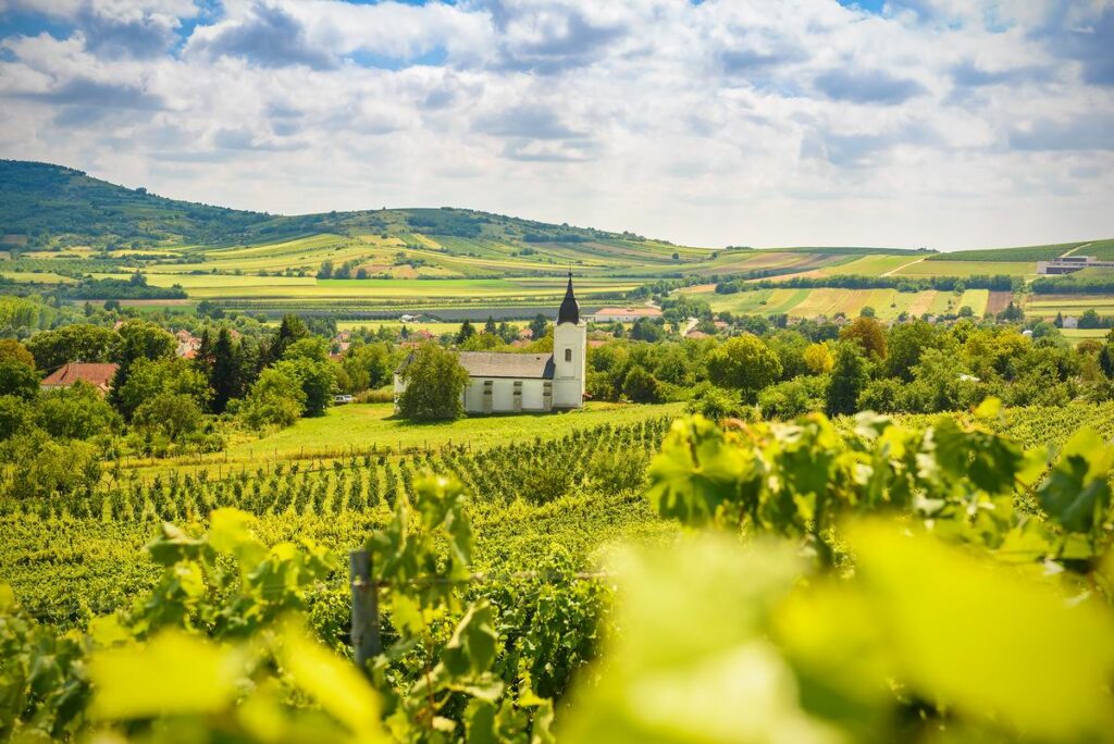 منطقه شراب توکای